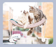 Two cats lounging together on a hanging cat hammock designed for sunbathing and relaxation.
