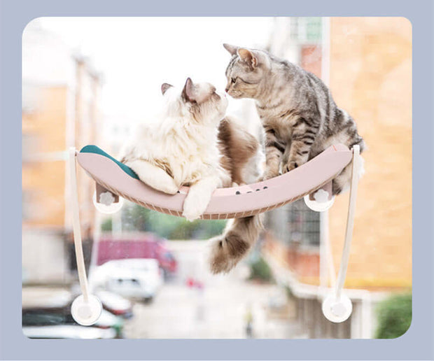 Two cats lounging together on a hanging cat hammock designed for sunbathing and relaxation.