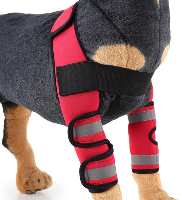 Pet dog wearing red knee pads support brace for joint protection, featuring adjustable straps and reflective bands.