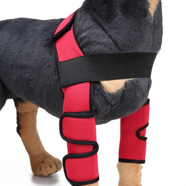 Red neoprene knee pads support brace for dogs, providing comfort and stability for knee protection.