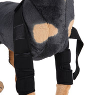 Pet Dog Knee Pads Support Brace 1pair
