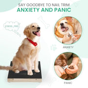 Dog Nail Scratch Board, Dog File Board Dog Nail Grinder Board Scratch Pad For Nails With Treat Box Pets Nails Trimming For All Dog Sizes